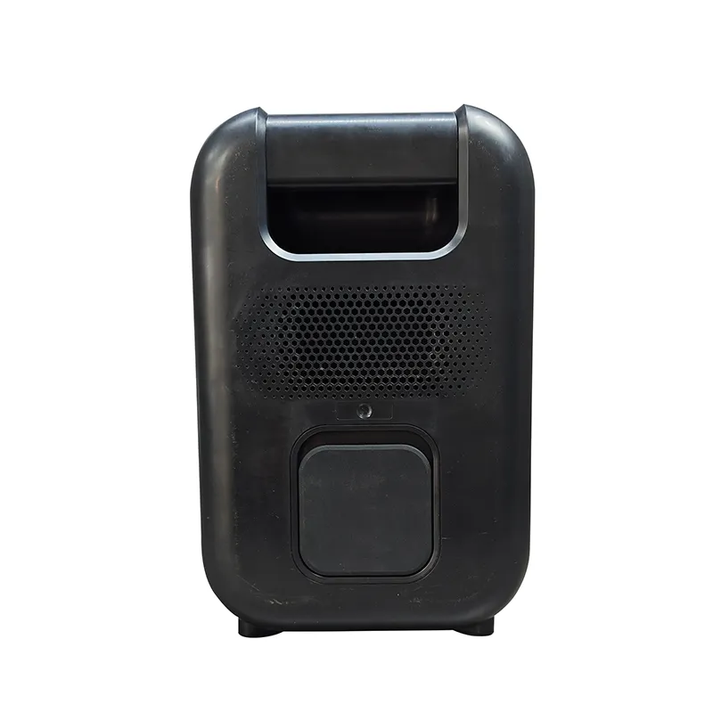 Портативная акустическая система YY-SK500.2